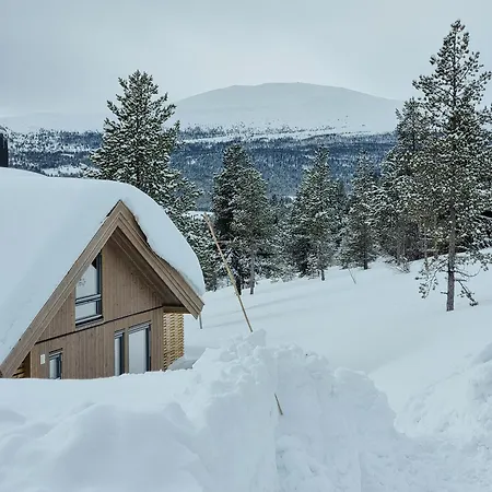 Modern With Panoramic View On Bringsfjellet Nyaraló *