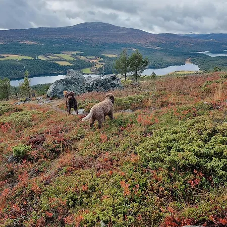 Modern With Panoramic View On Bringsfjellet Nyaraló *