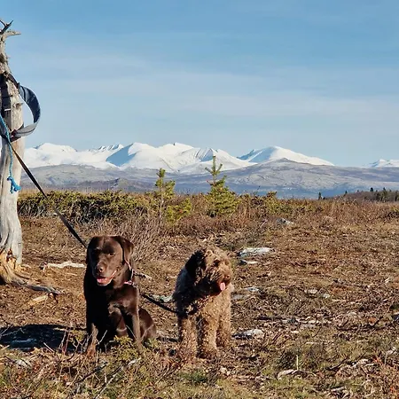 بيت للعطل Modern With Panoramic View On Bringsfjellet *