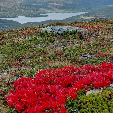Modern With Panoramic View On Bringsfjellet
