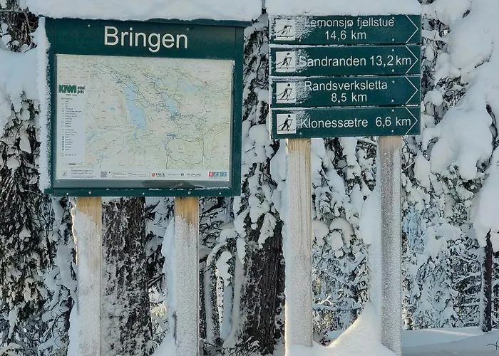 Modern With Panoramic View On Bringsfjellet *