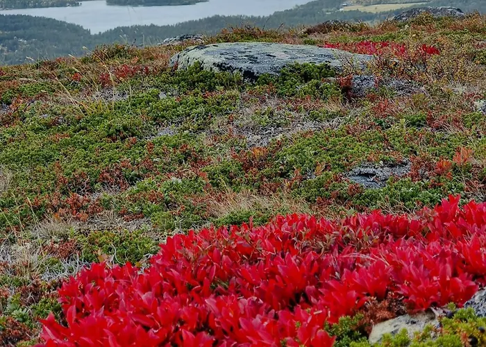 Modern With Panoramic View On Bringsfjellet
